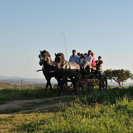 Hotel La Giralda Burguillos Del Cerro Dış mekan fotoğraf